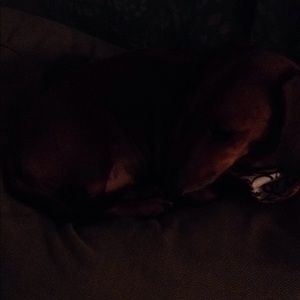 Meet your Posher, Diana